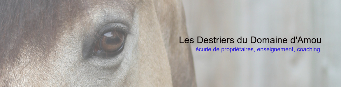 Les Destriers du Domaine d'Amou