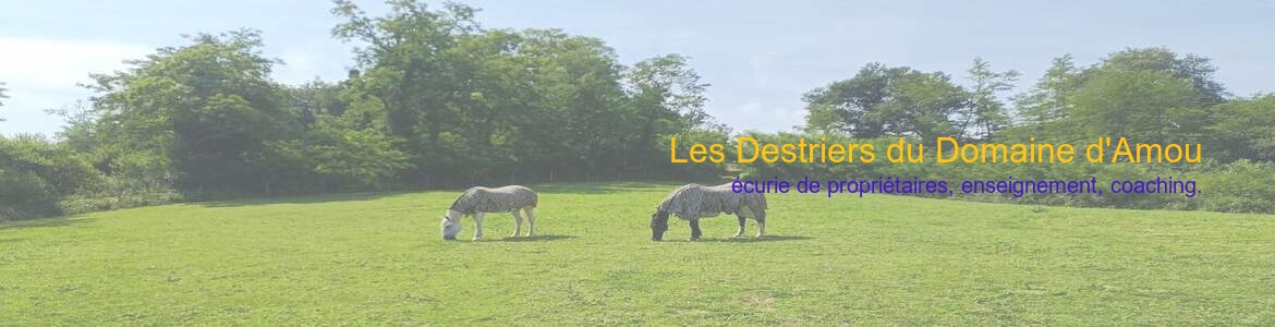 Les Destriers du Domaine d'Amou